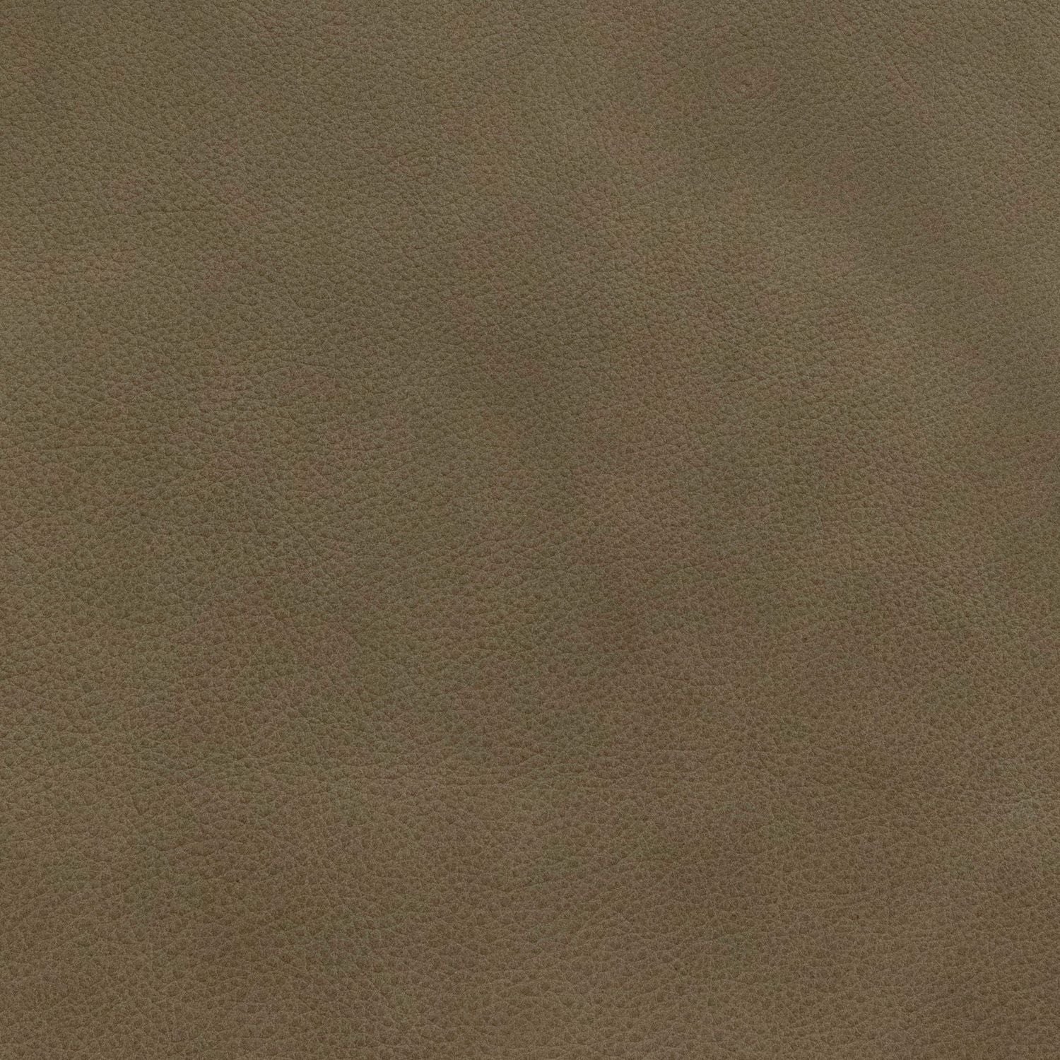 Safari Grey Swatch