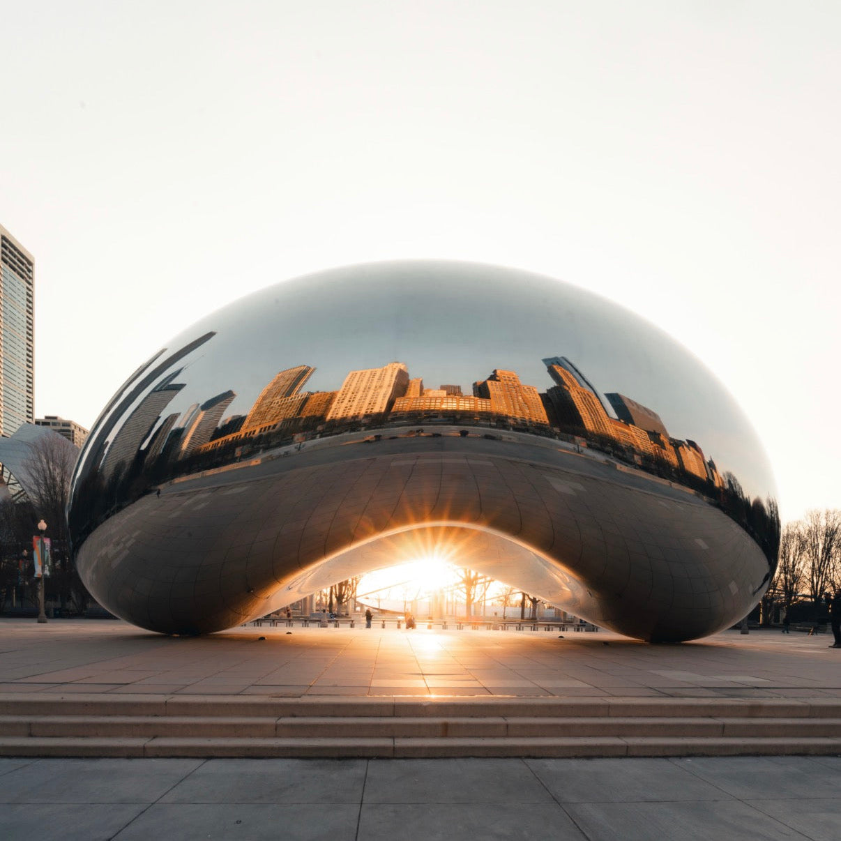 The Bean