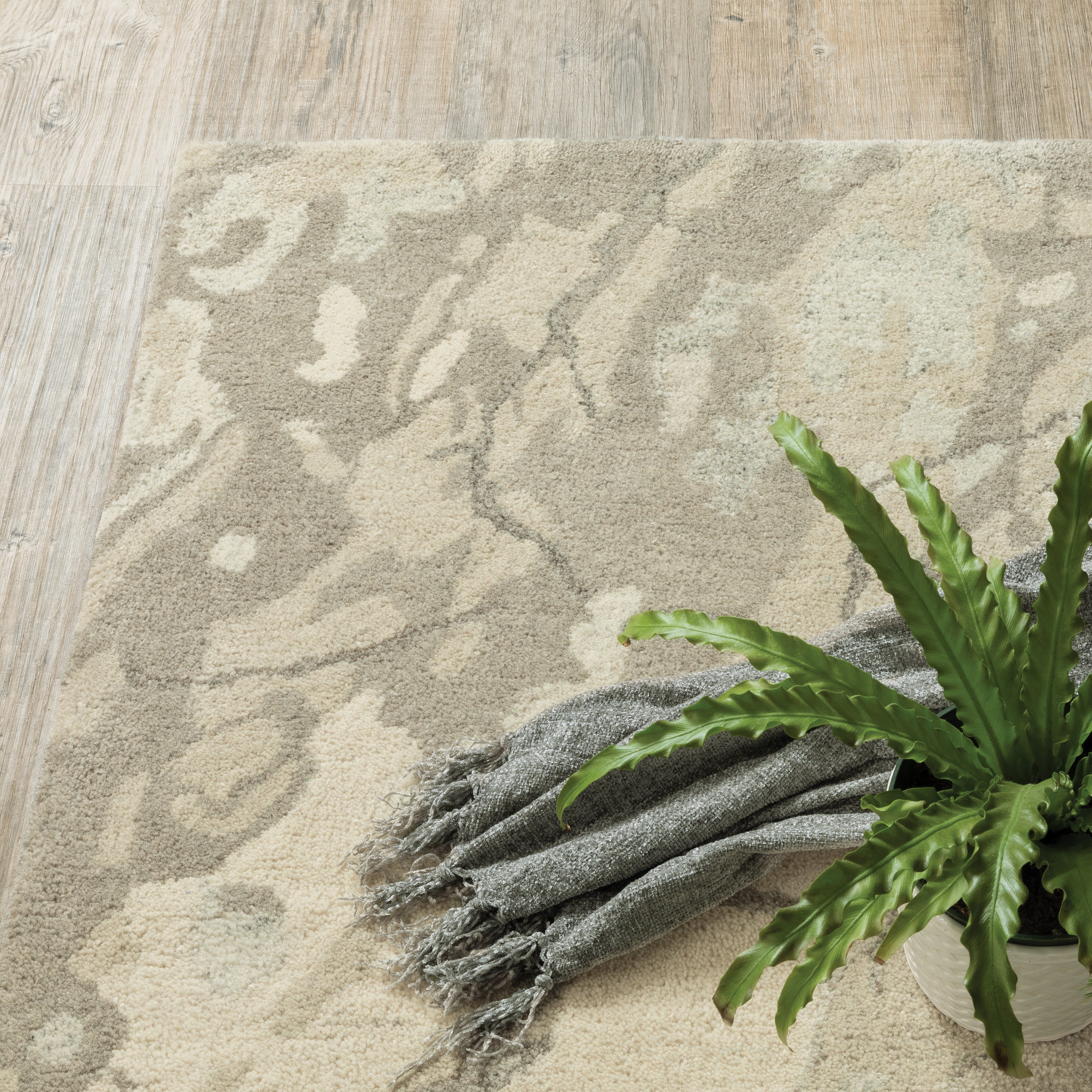 Oriental Weavers Anastasia 68008 Beige/Ivory Area Rug