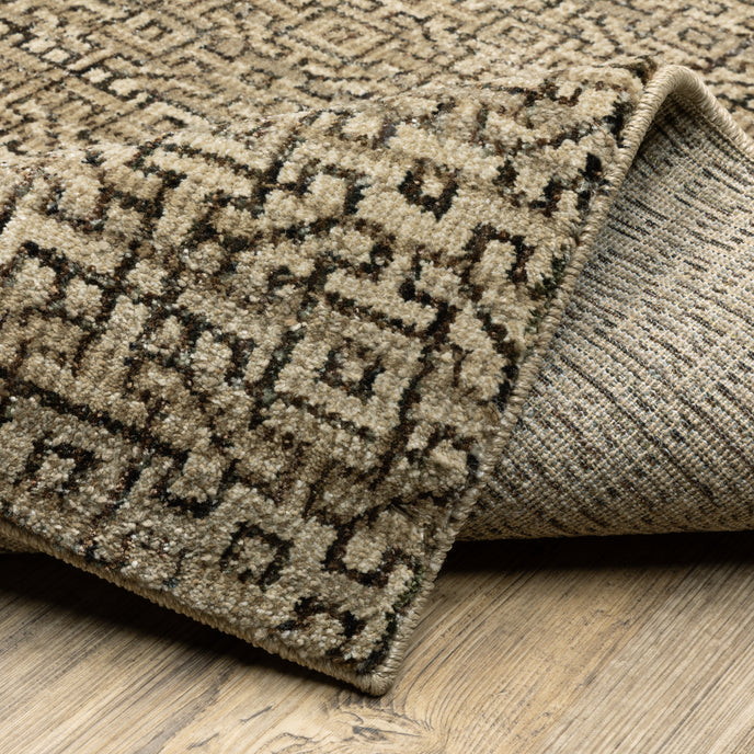 Oriental Weavers Atlas 3721S Area Rug