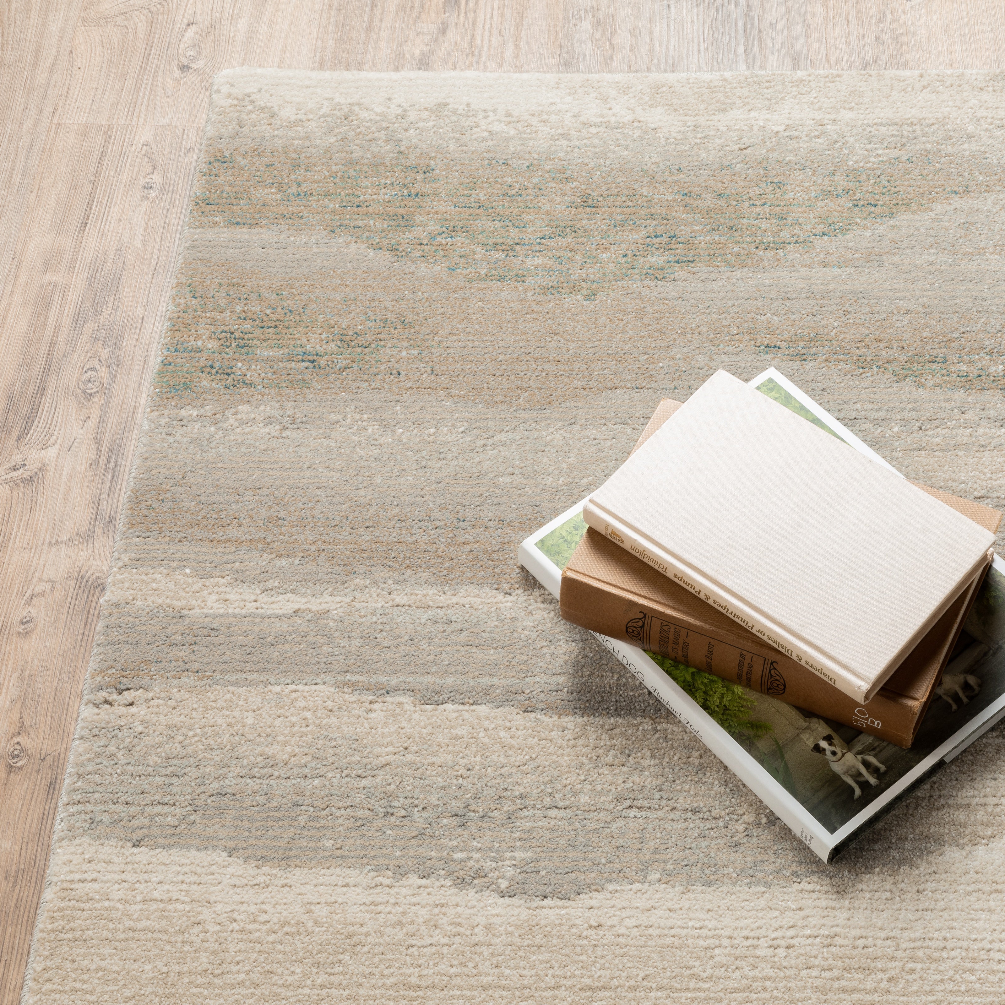 Oriental Weavers Evolution 982C Beige/Ivory Area Rug