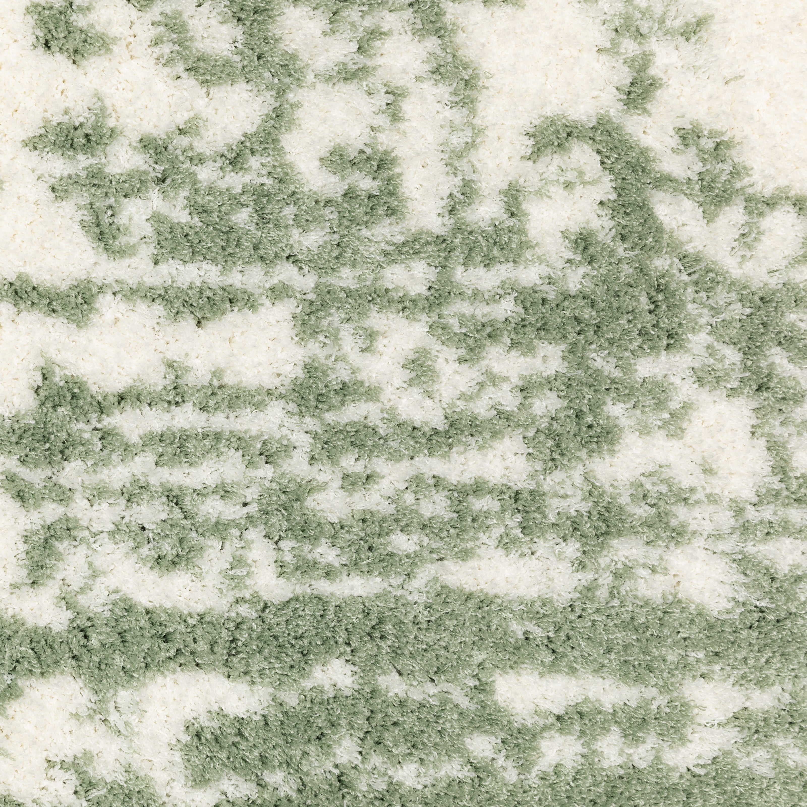Oriental Weavers Galileo GAL09 Green/Ivory Area Rug