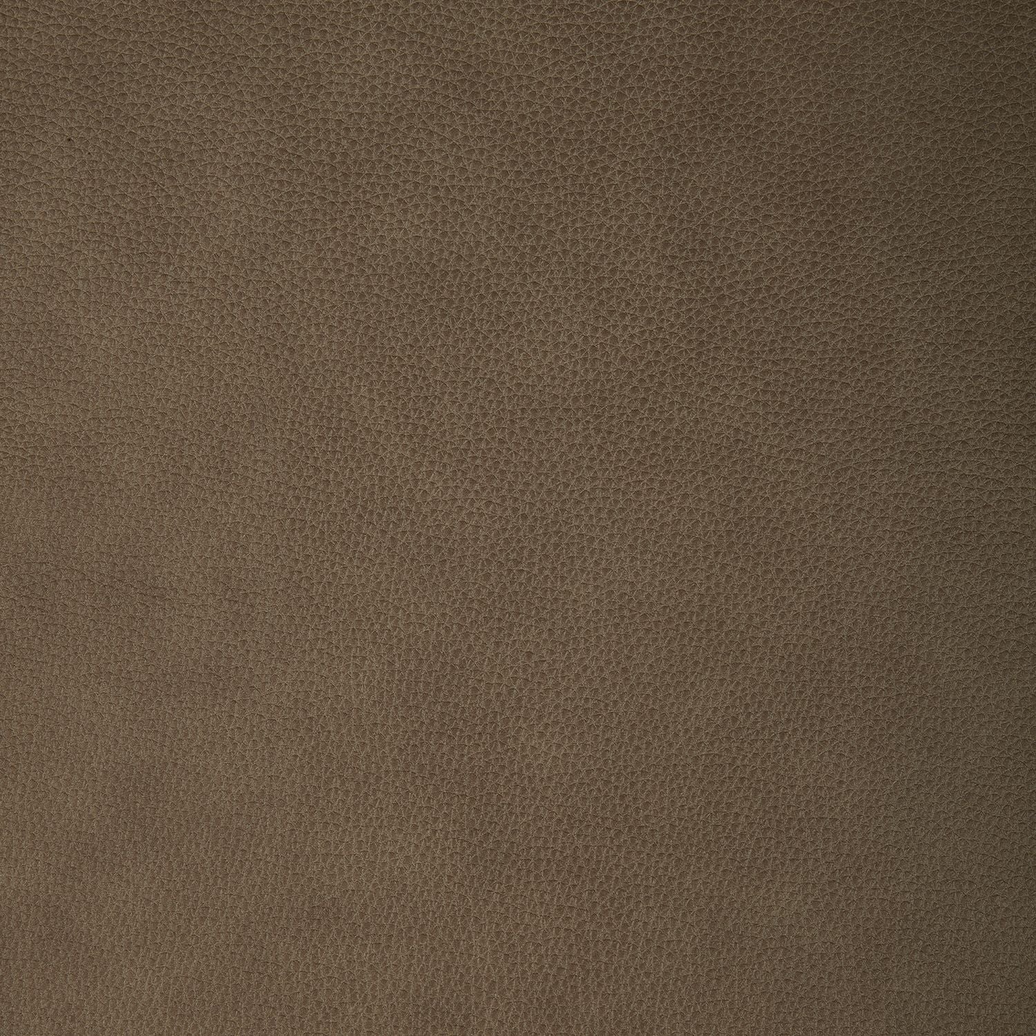 York Sand Swatch