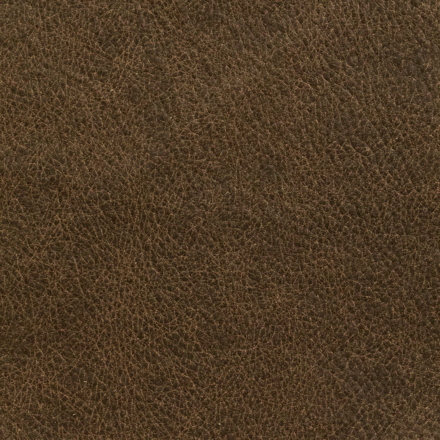 Jumbo Bark Swatch