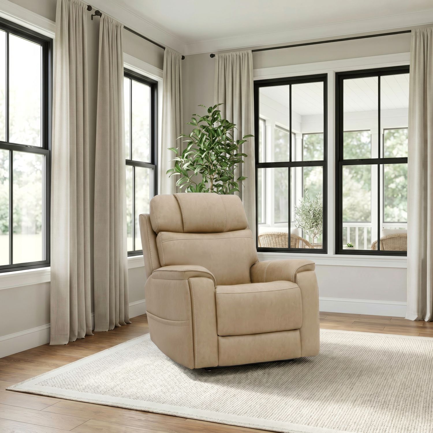 ZG Power Lift Recliner P3