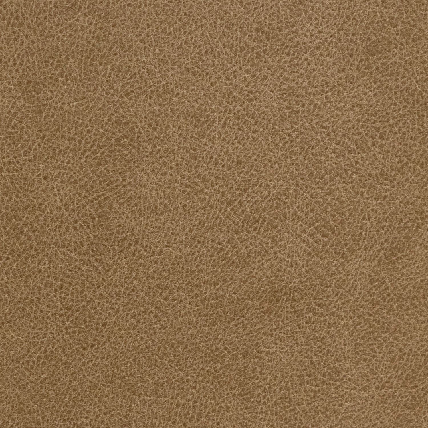 Jumbo Sand Swatch