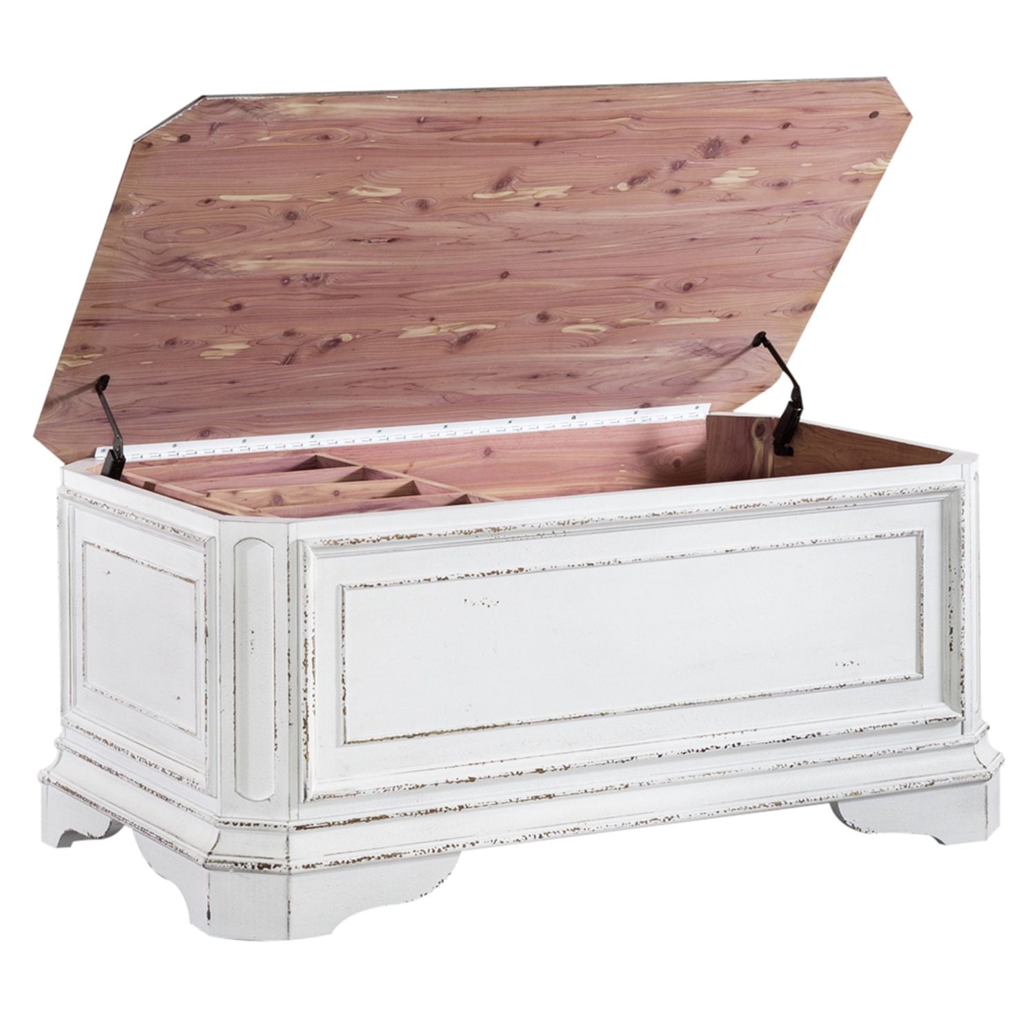 Storage Trunk