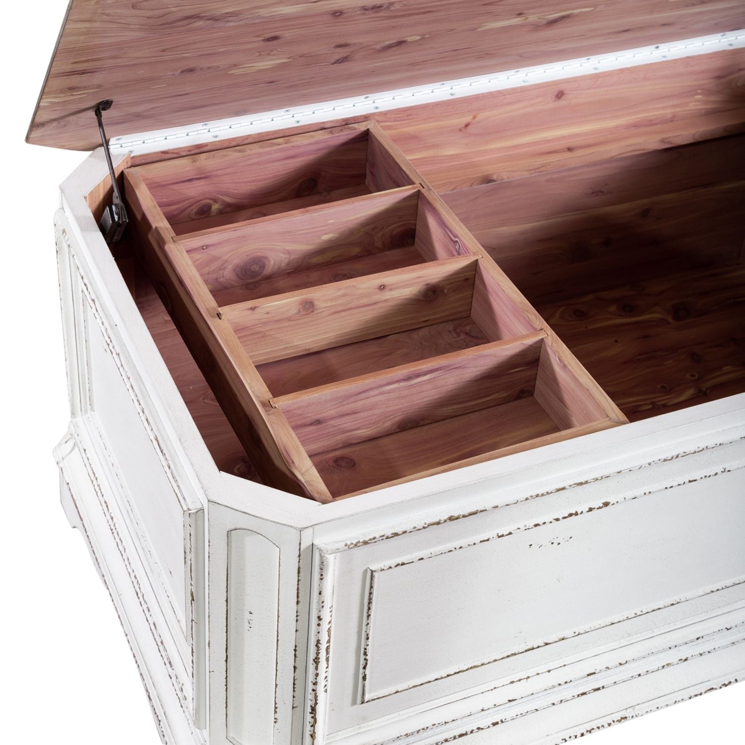 Storage Trunk