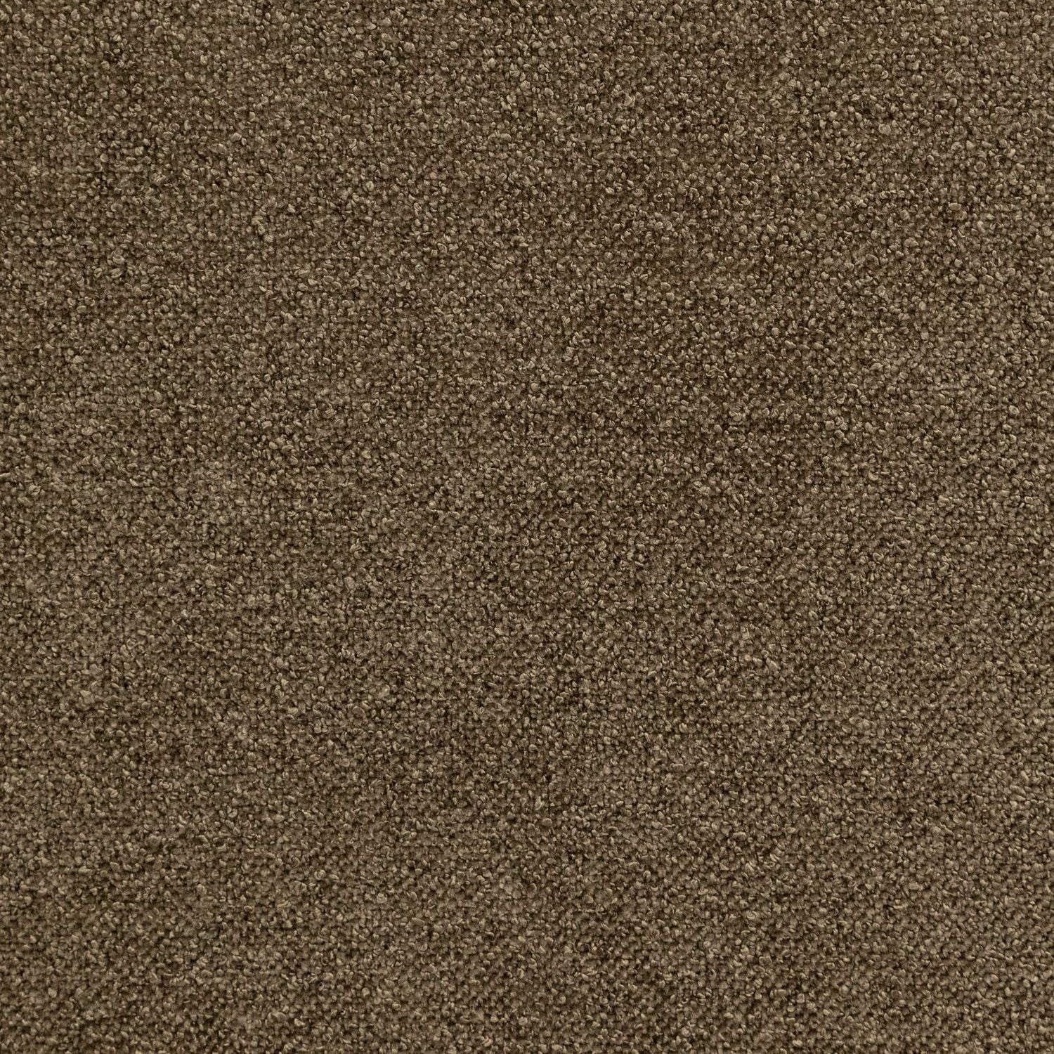 Trento Chocolate Swatch