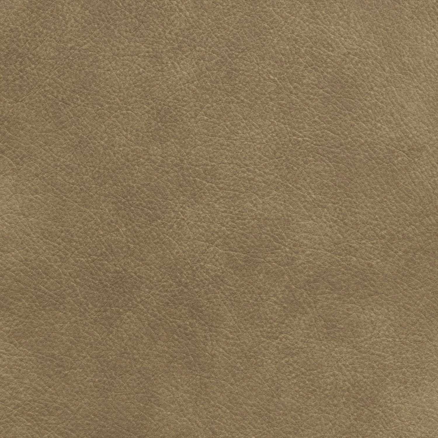 Gala Brown Swatch