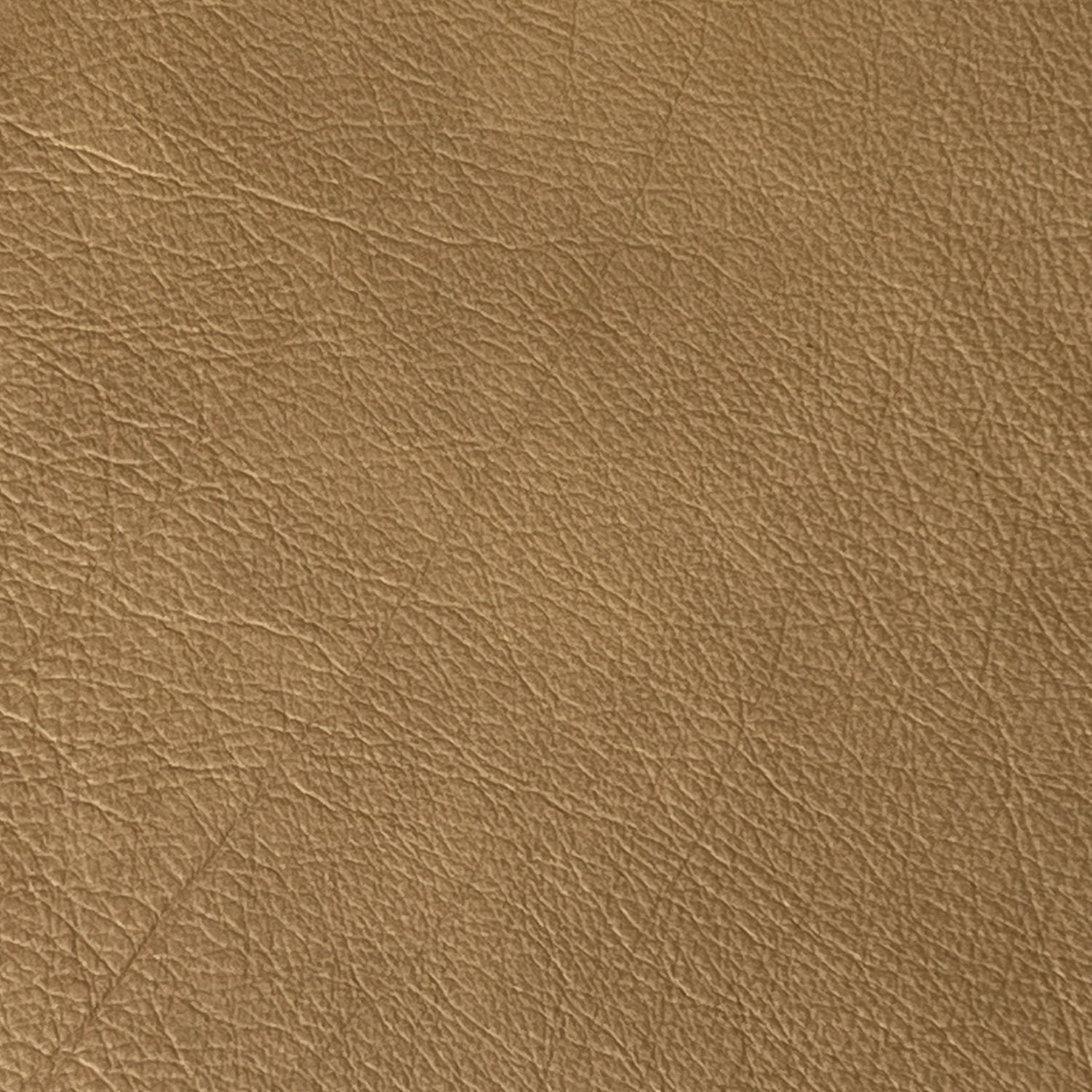 Aline Toast Swatch