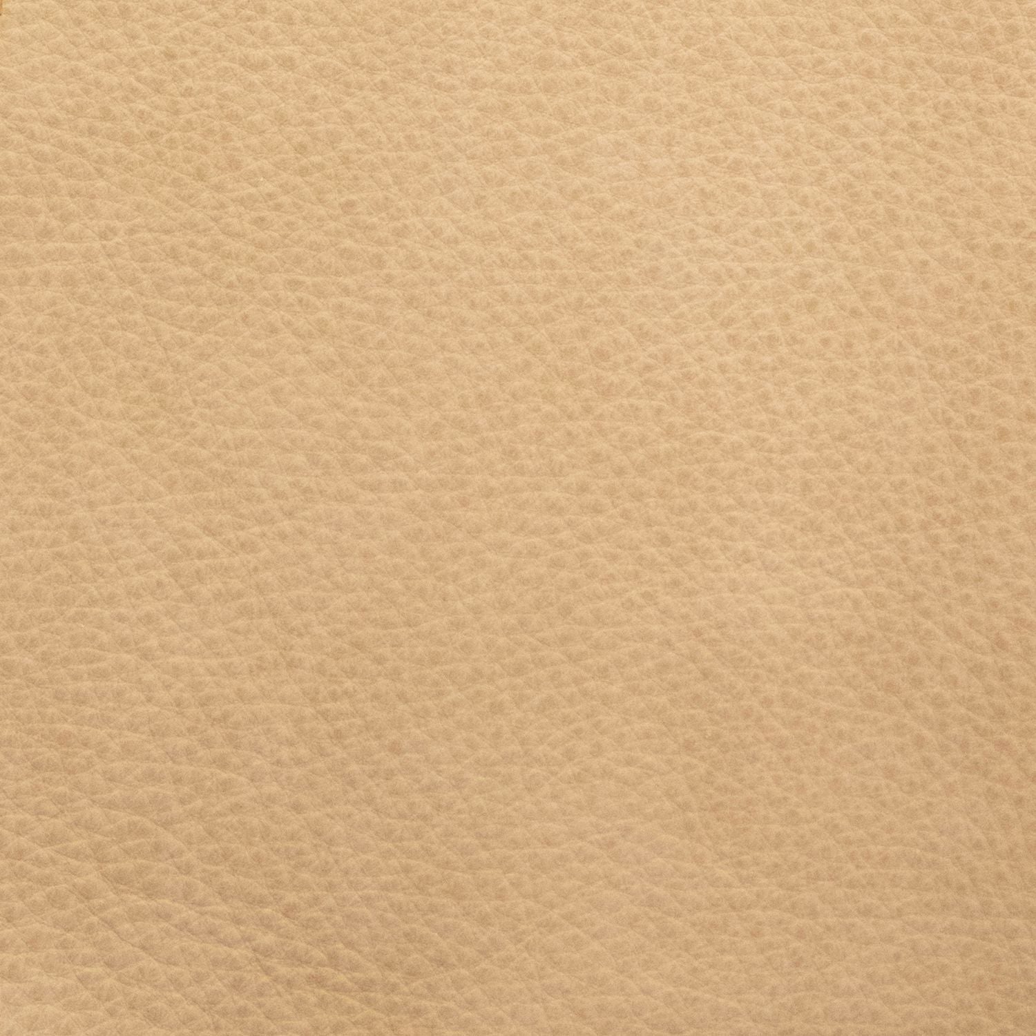 Safari Fawn Swatch