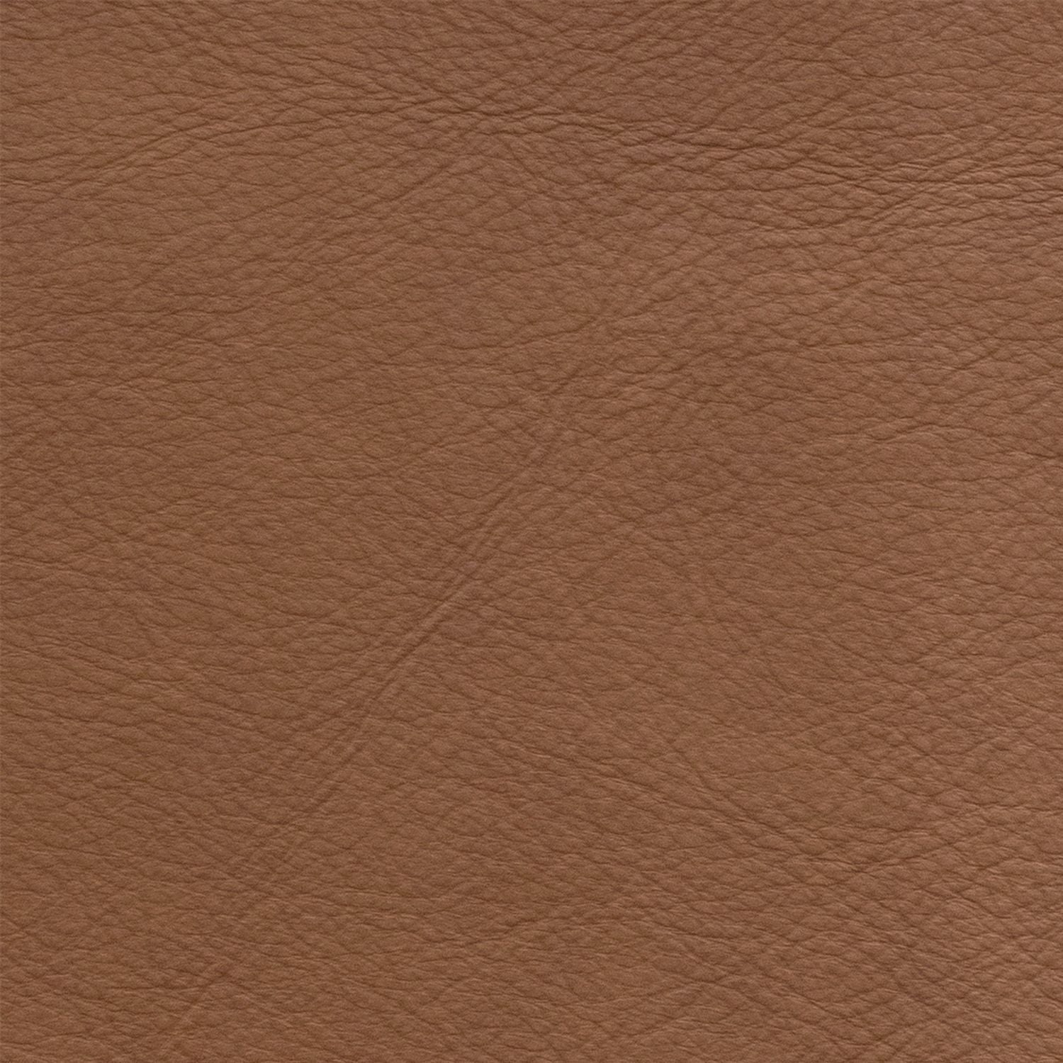 Oslo Antelope Swatch