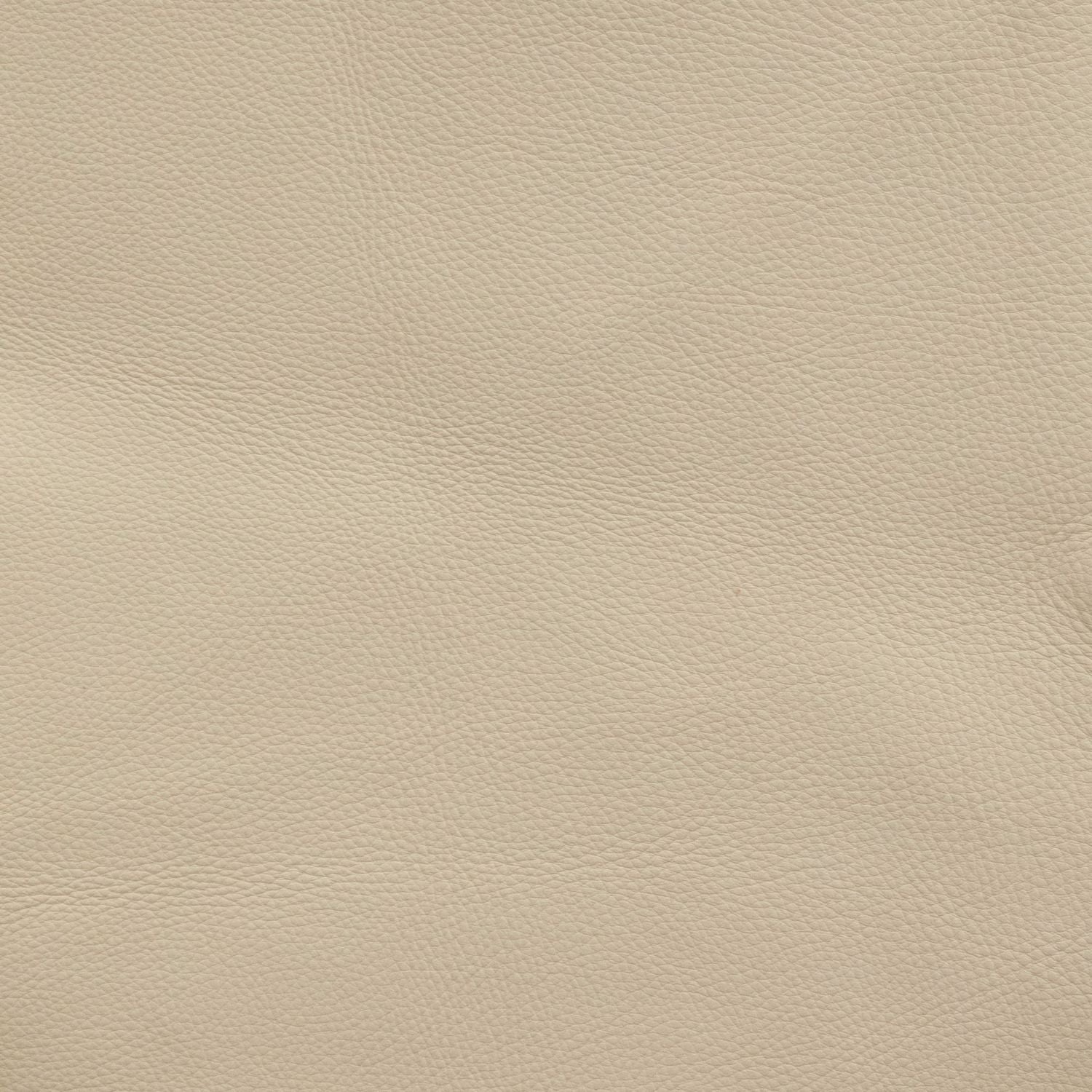 Oslo Pebble Swatch