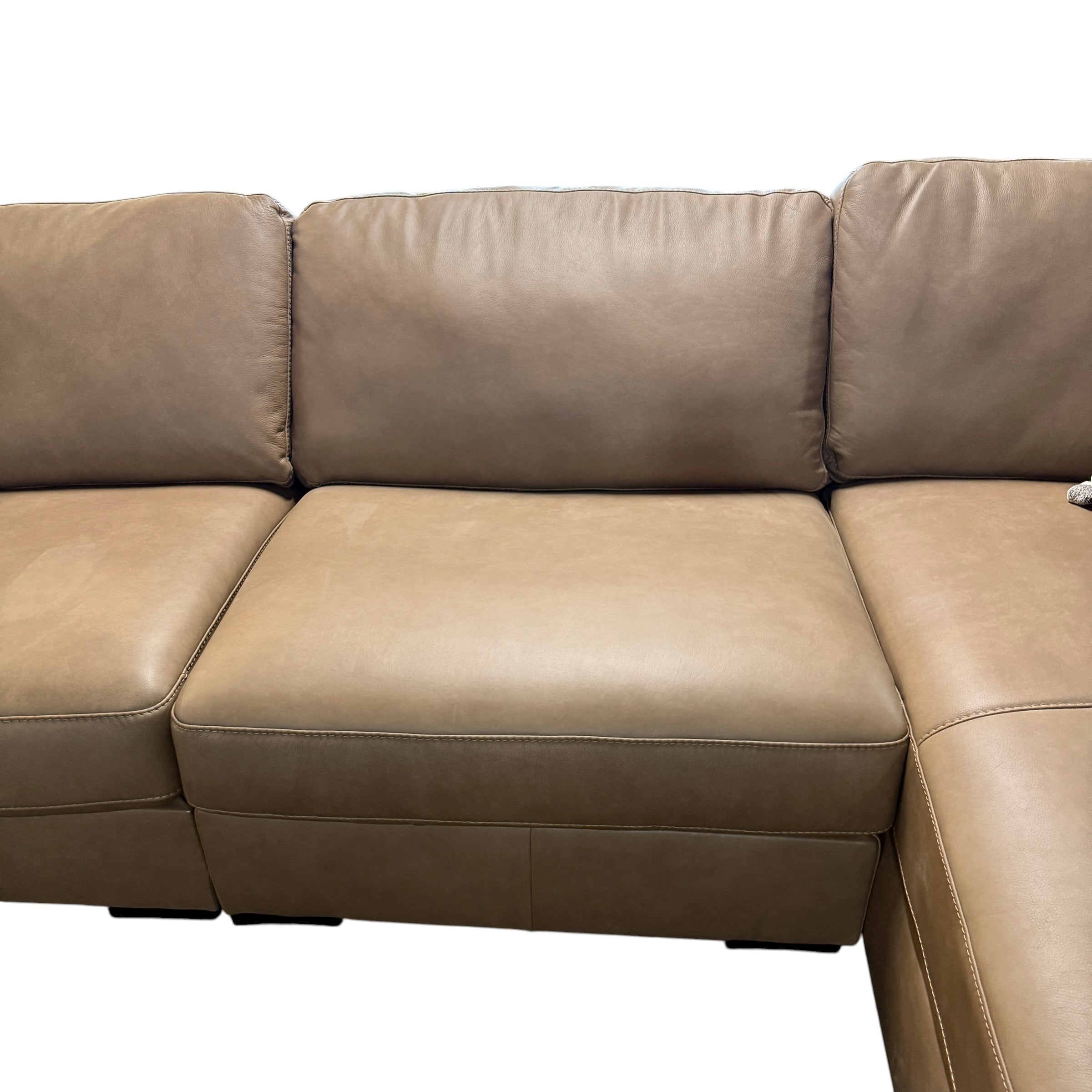 Corinne Leather Sectional
