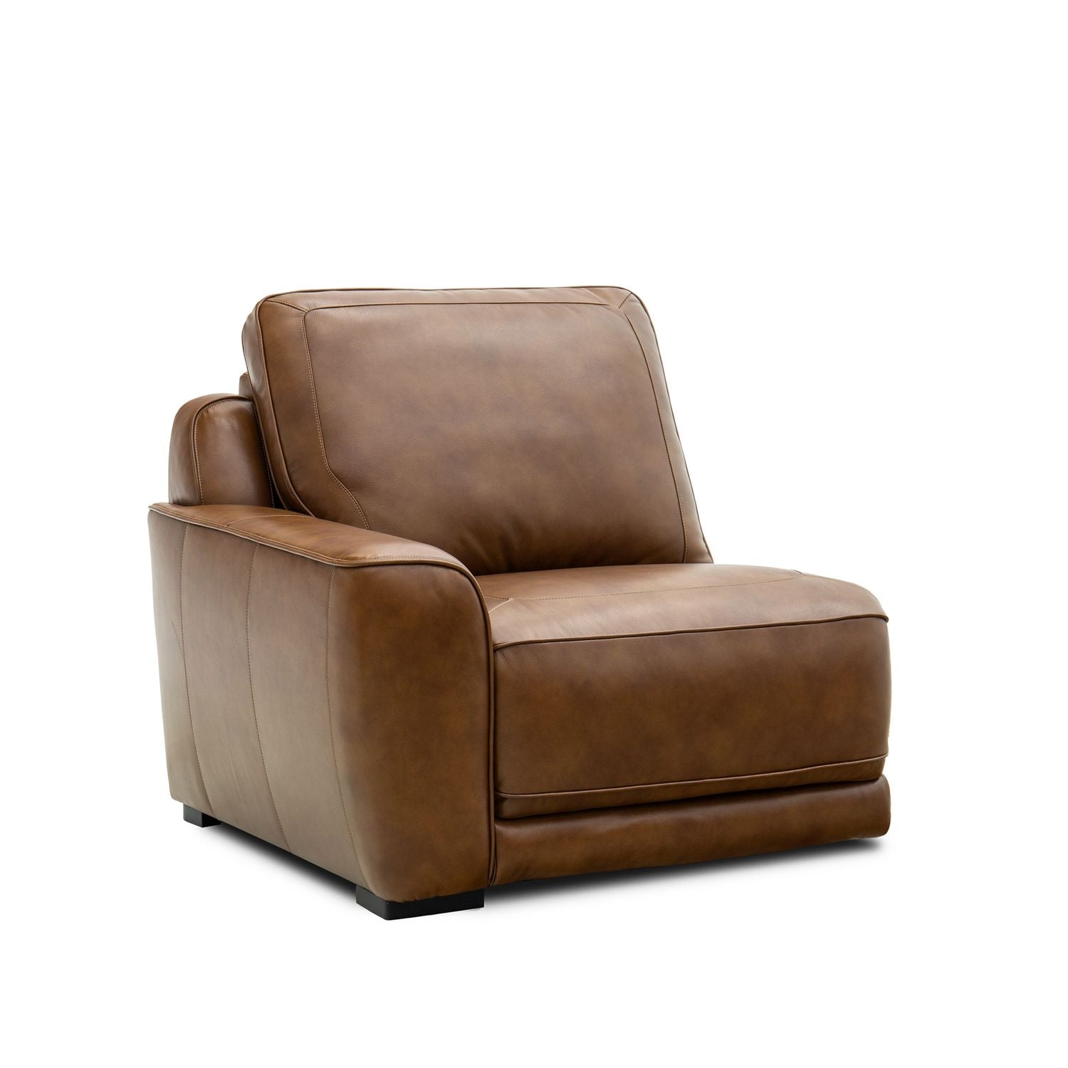 L Arm Recliner P2 & ZW