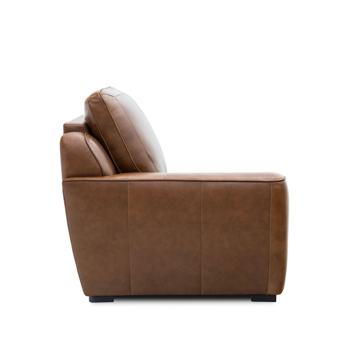 L Arm Recliner P2 & ZW