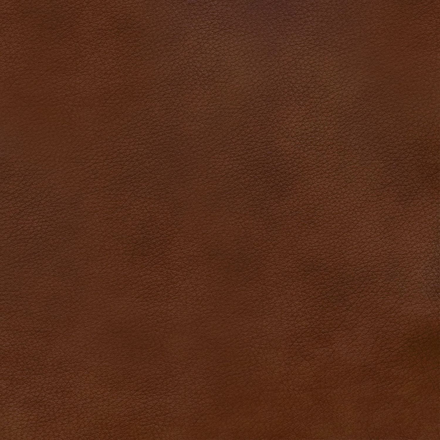 Venetian Honey Swatch