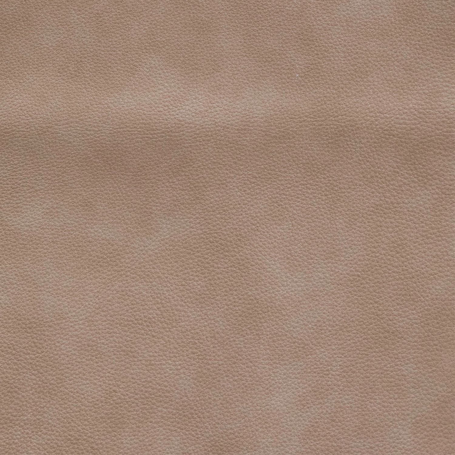 Sophia Oatmeal Swatch