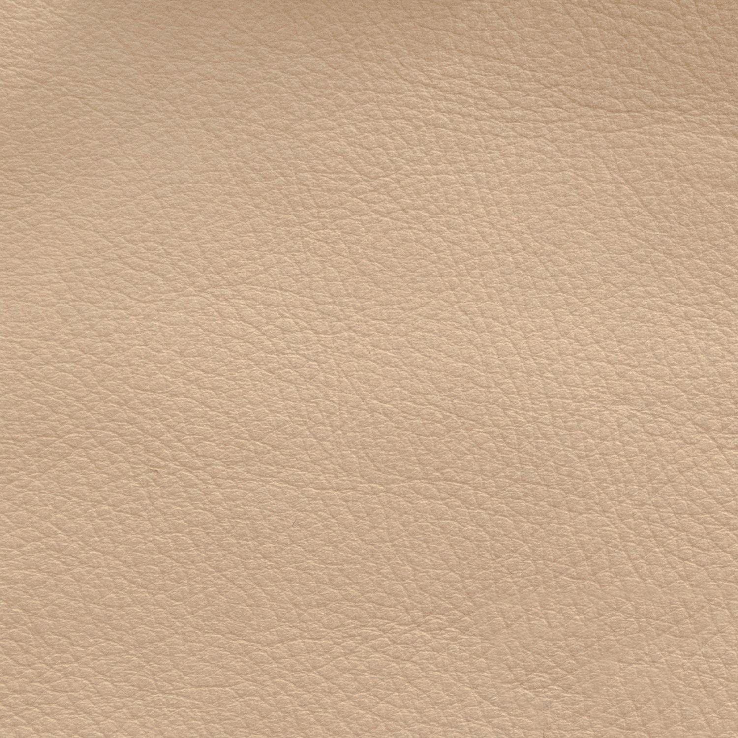 Oslo Fawn Swatch