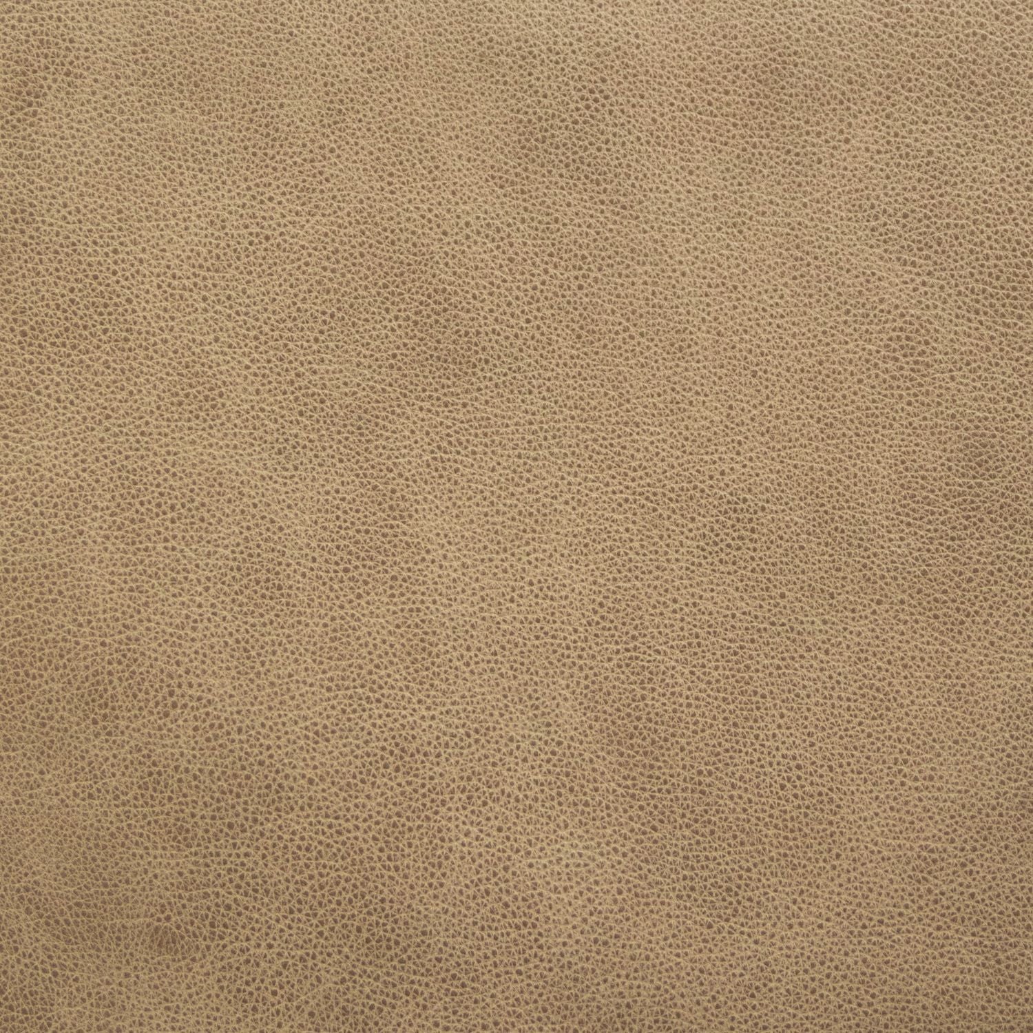 Dakota Camel Swatch