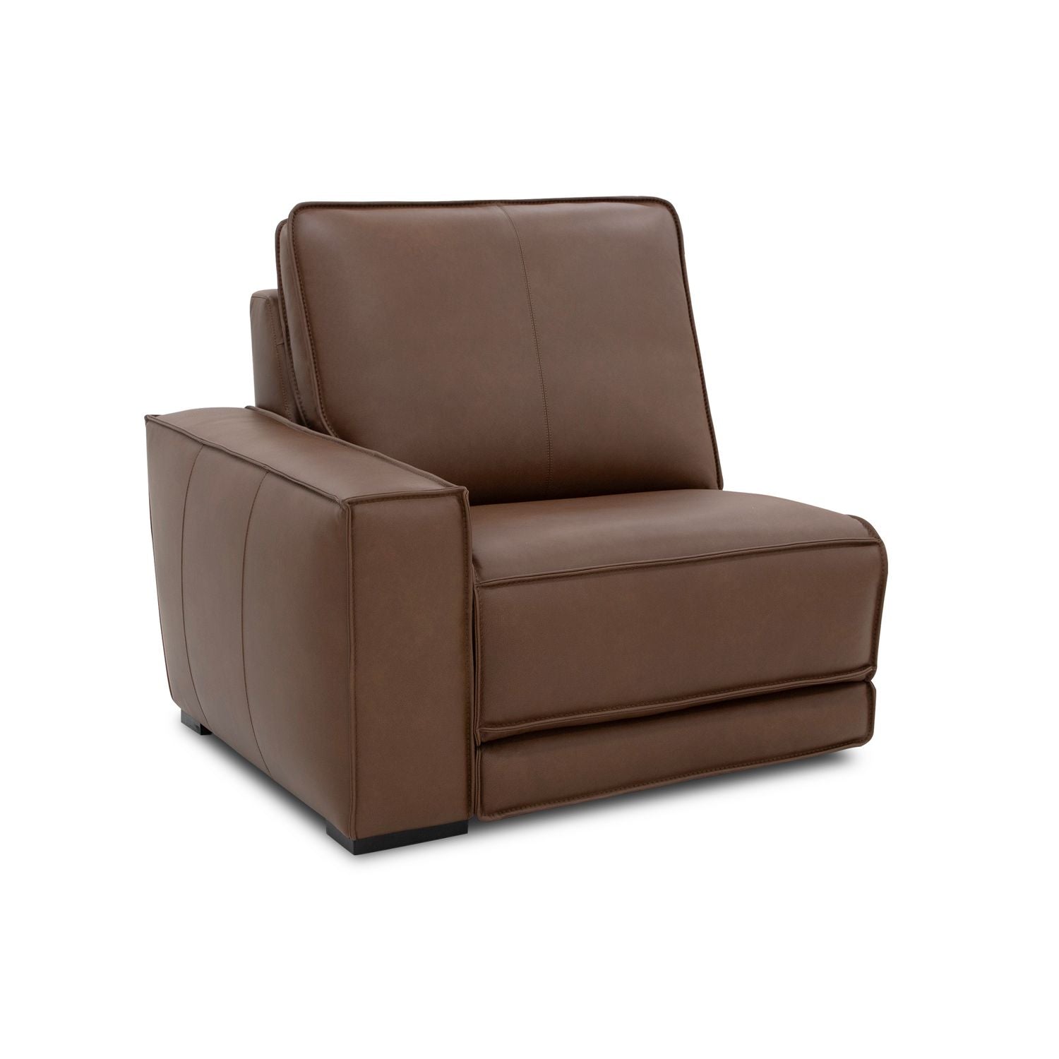 L Arm Recliner P2 & ZW