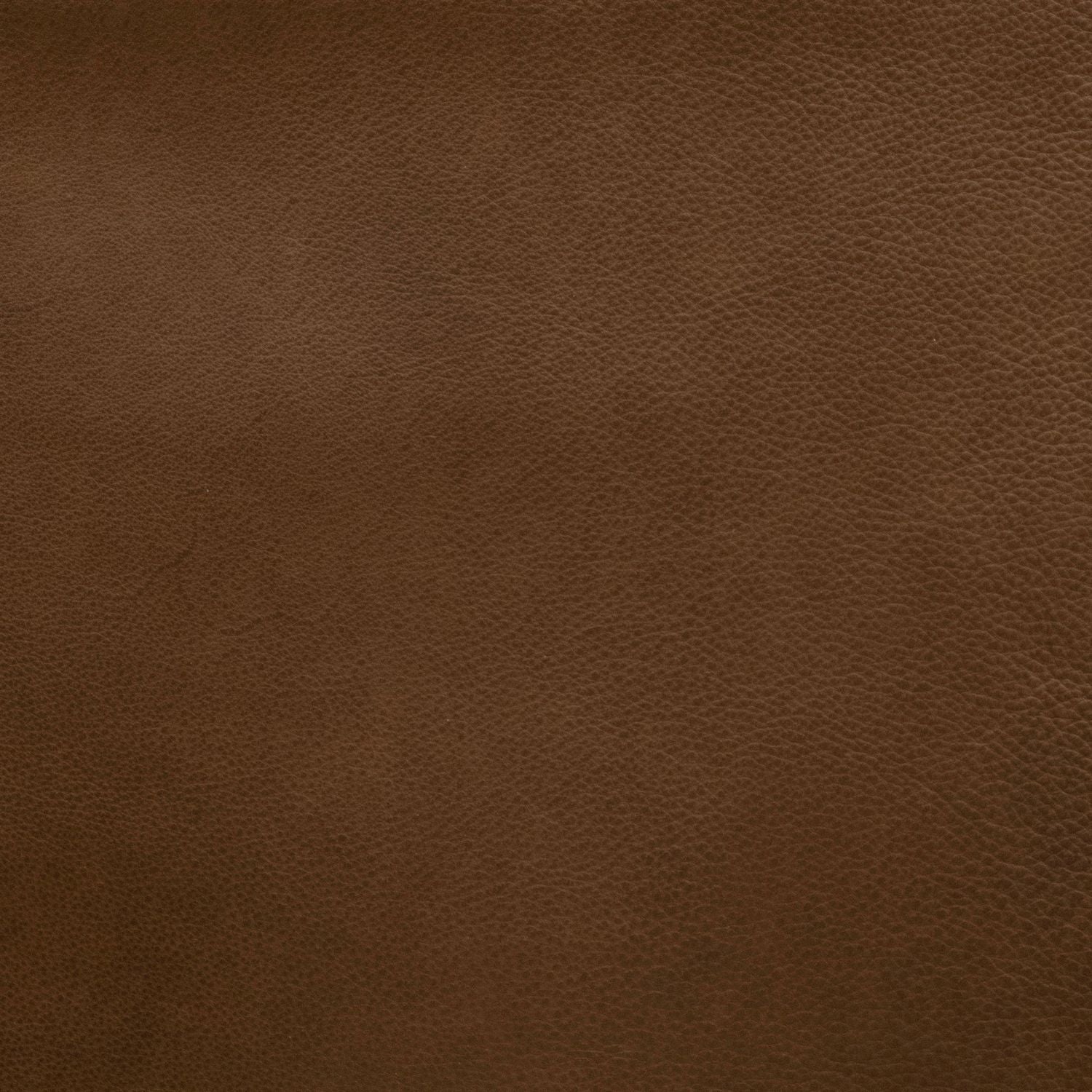 Apollo Nut Swatch