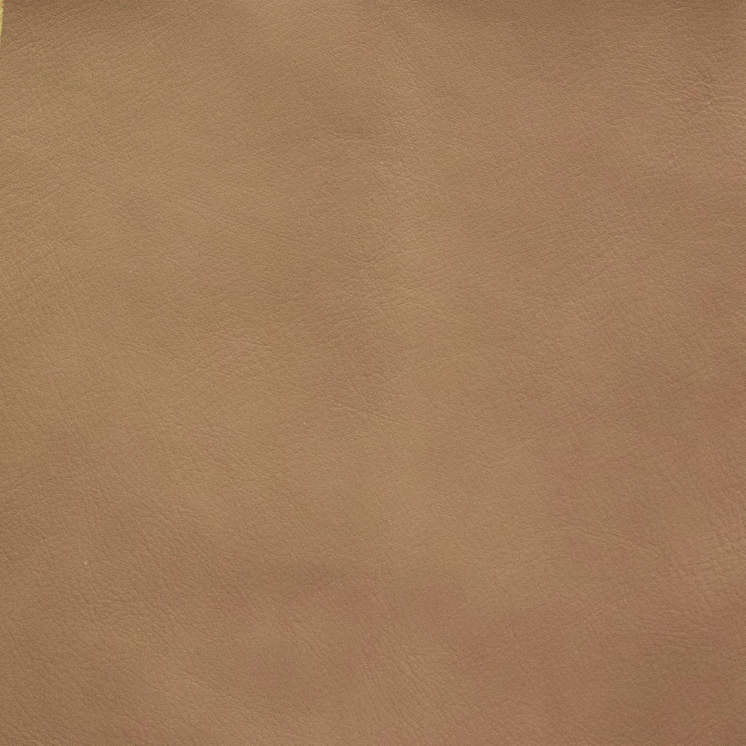 Oslo Bistre Swatch