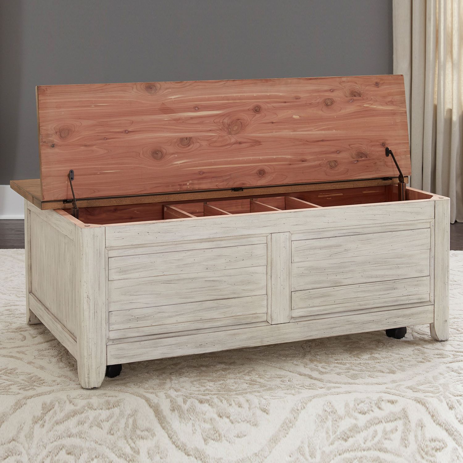 Storage Trunk