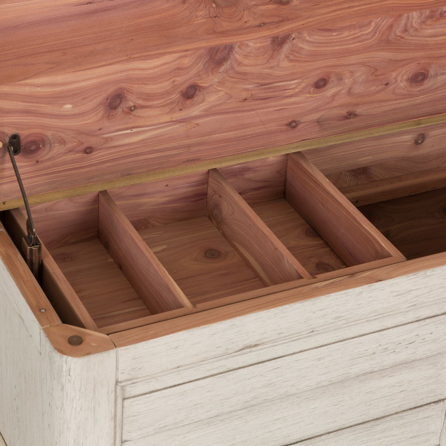 Storage Trunk