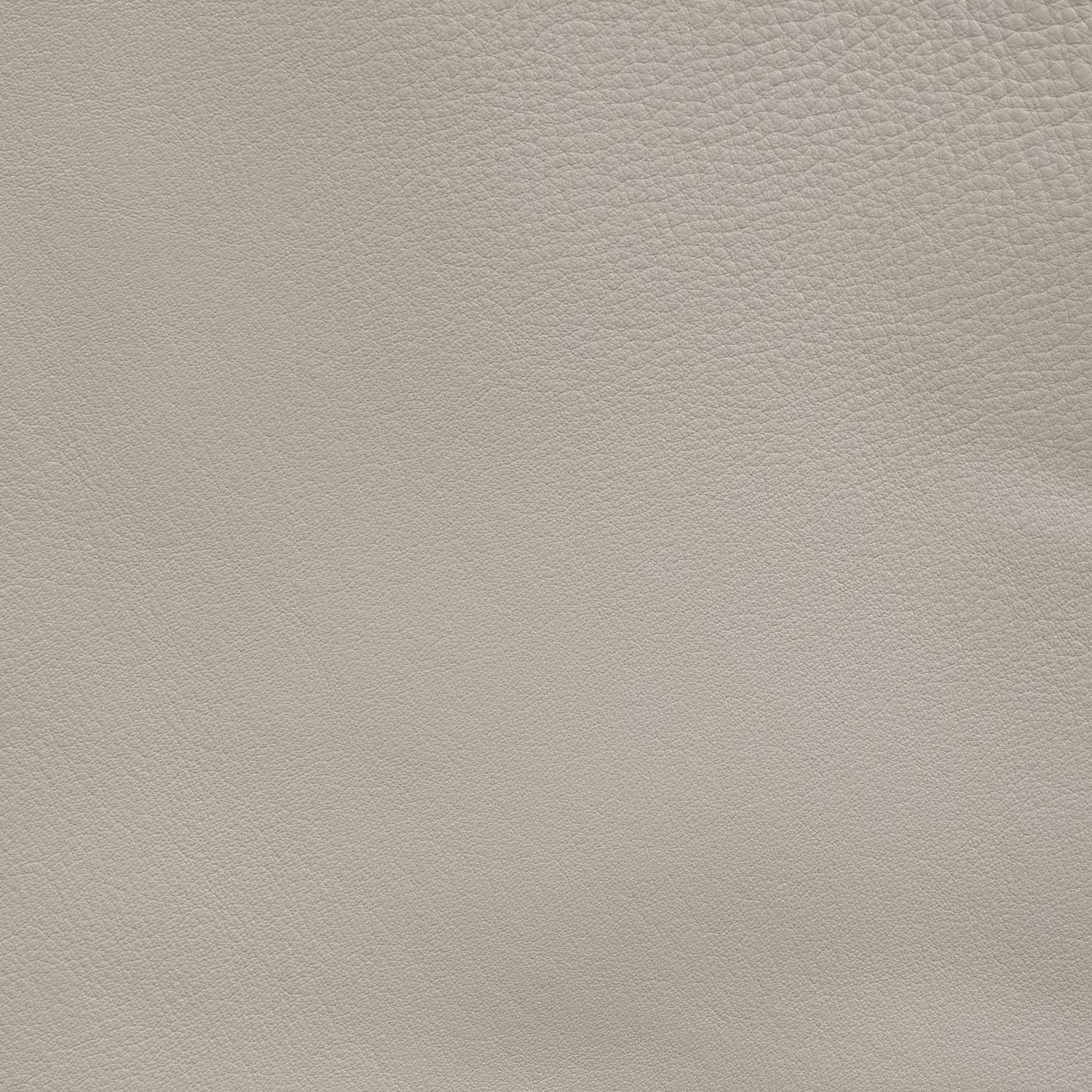 Baja Stone Swatch