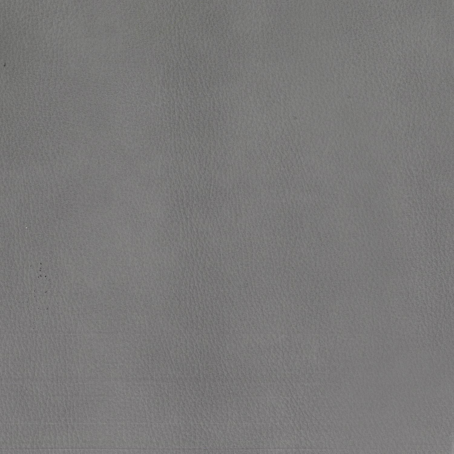 Aline Light Gray Swatch