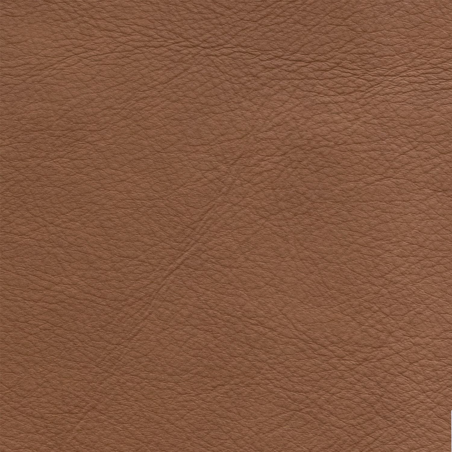 Oslo Antelope Swatch