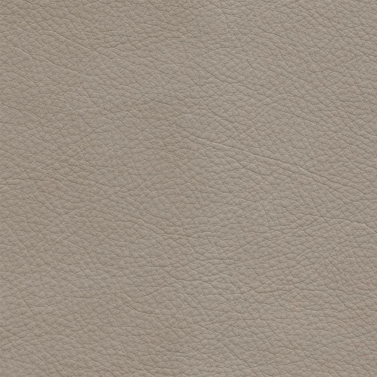 Oslo Grey Swatch