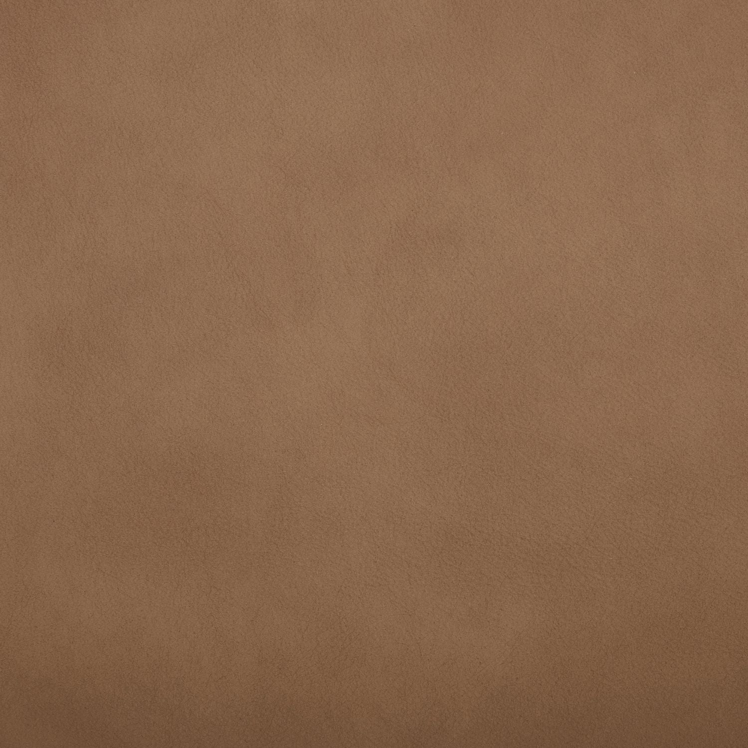 Aline Toast Swatch