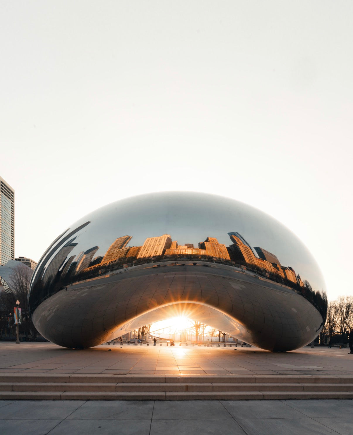 The Bean