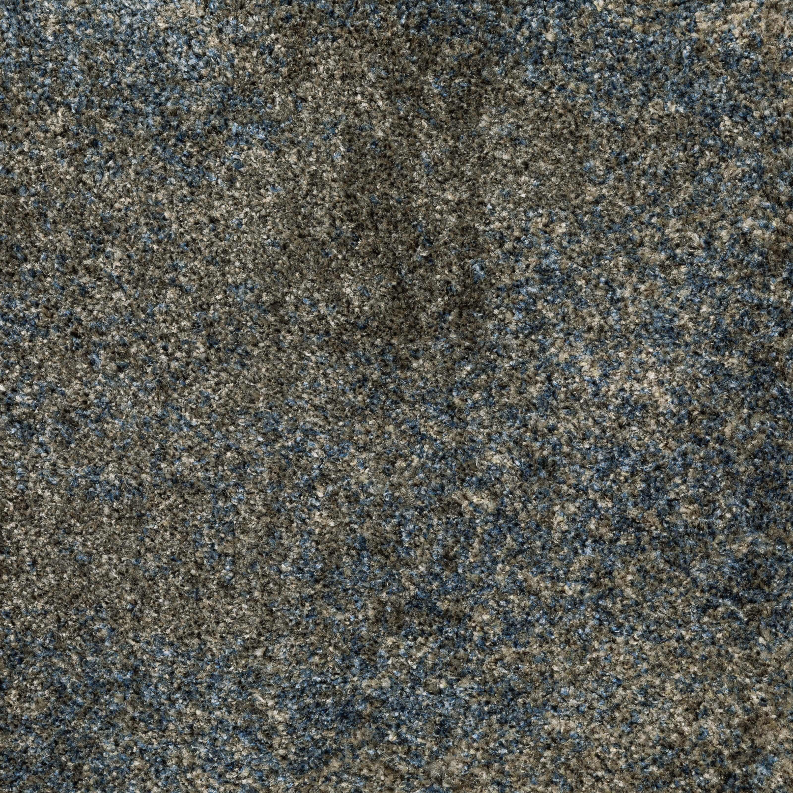 Oriental Weavers Alton 5562V Beige/Blue Area Rug