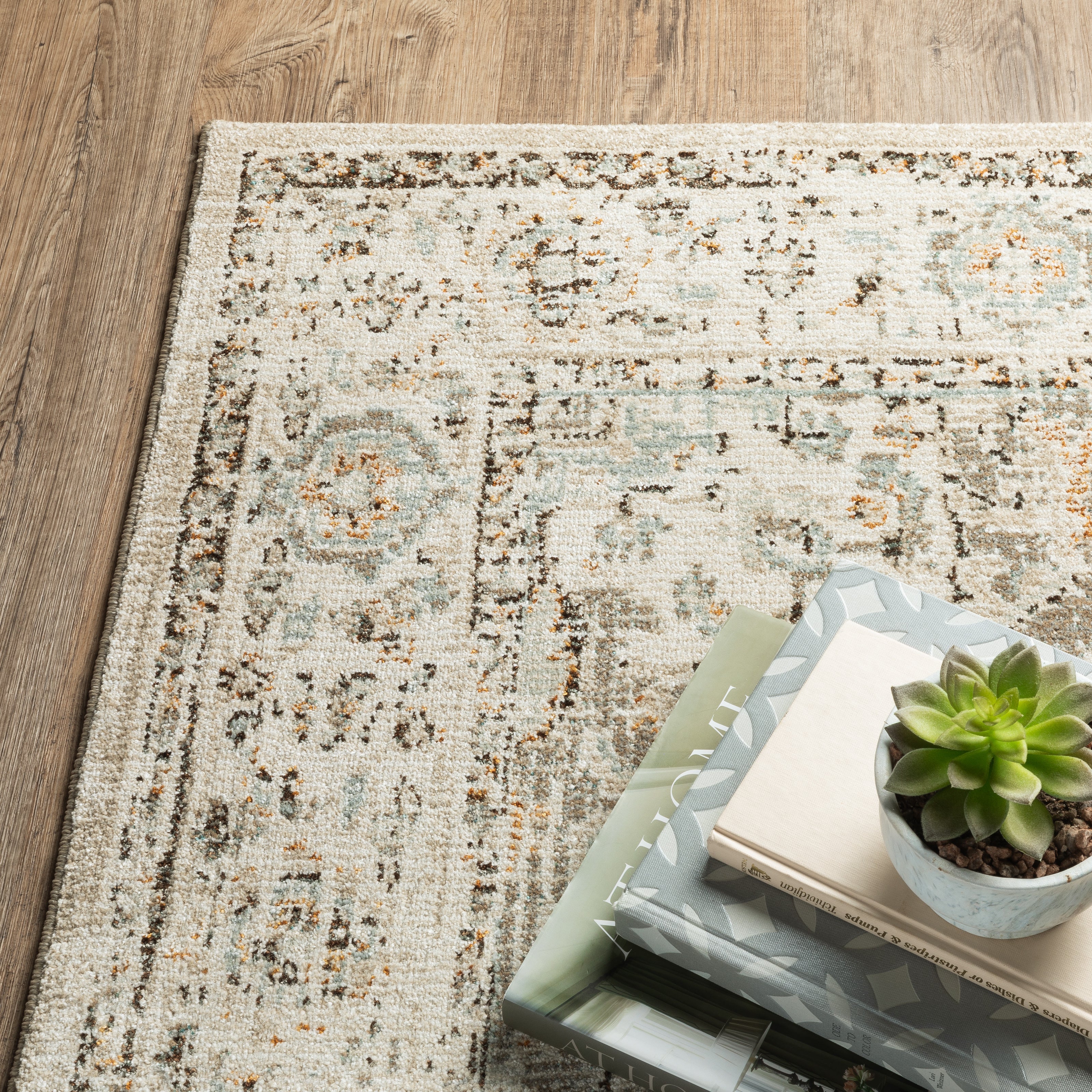 Oriental Weavers Andorra / 303d0 Area Rug