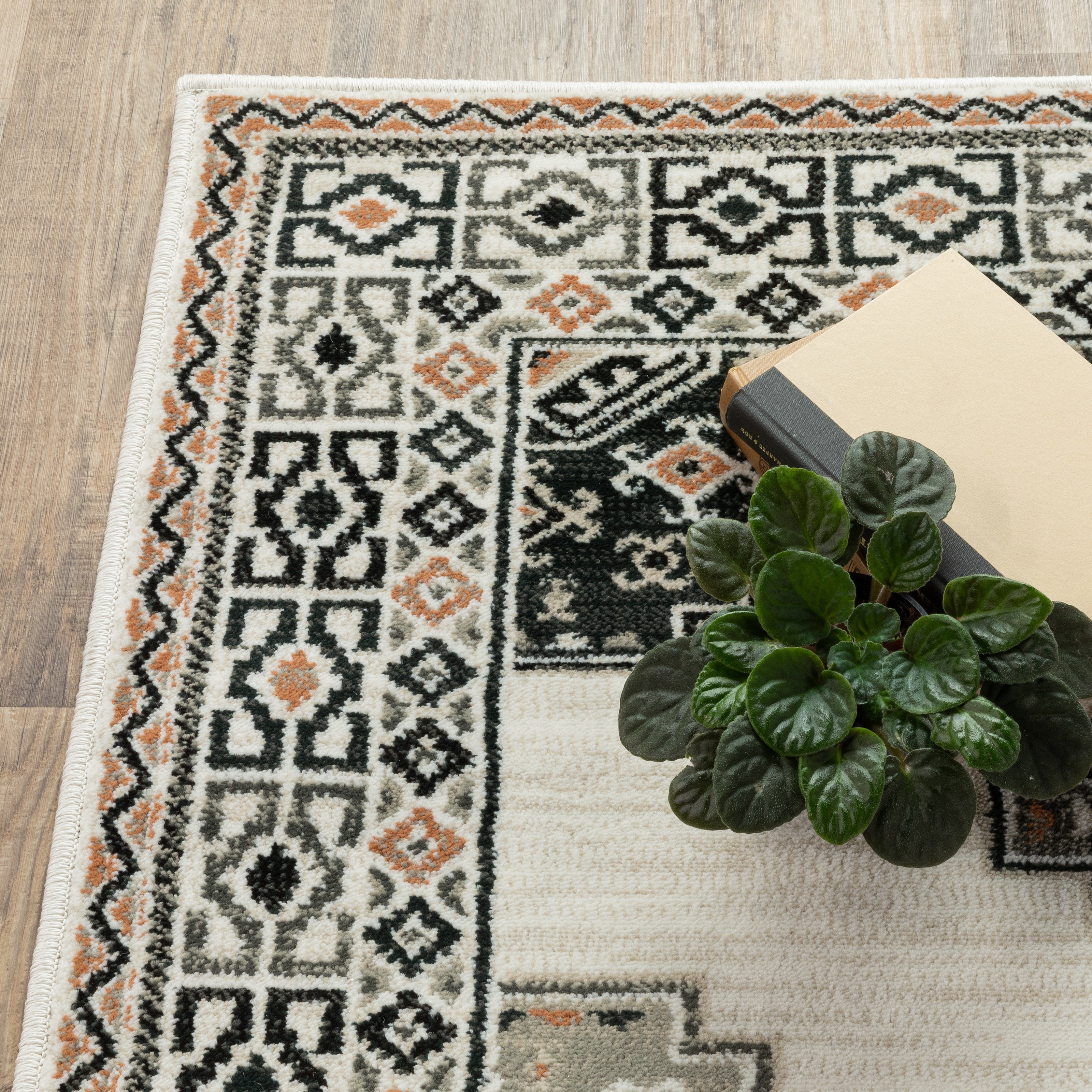 Oriental Weavers Georgia 640A Ivory/Multi Area Rug